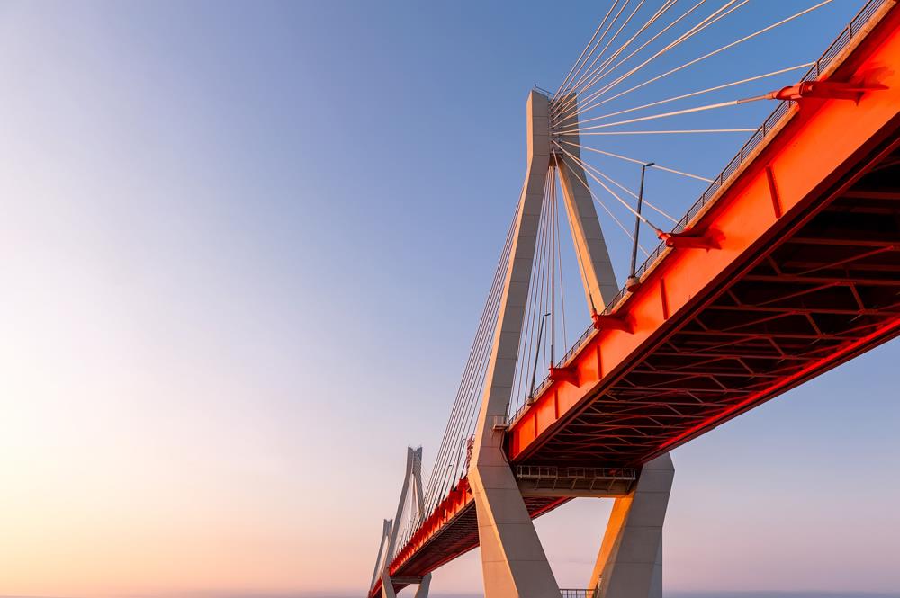 Erection Engineering in Major Bridges: Managing Risk and Dispute