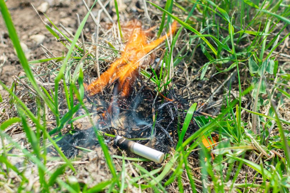 A Little Neglect May Breed Great Mischief