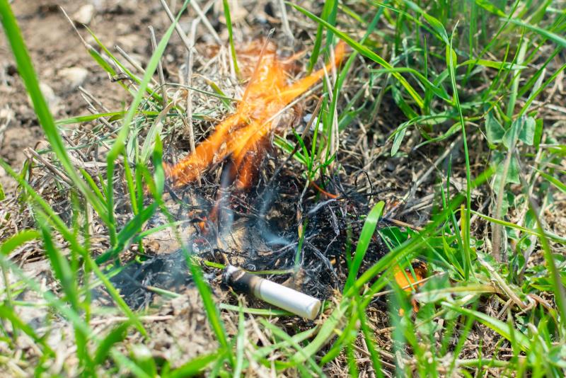 A Little Neglect May Breed Great Mischief