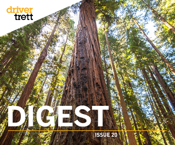 Driver Trett Digest, Issue 20